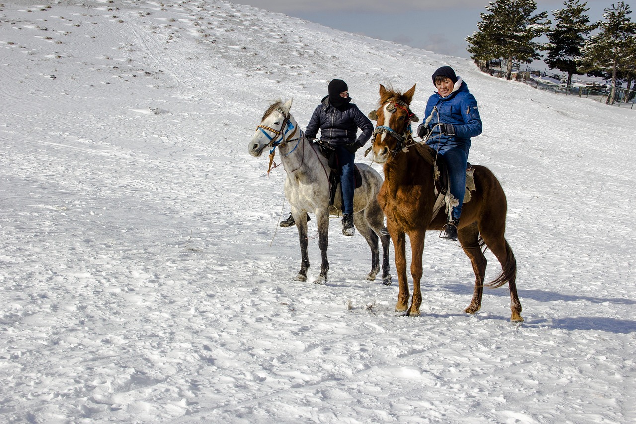体育直播中的狗推现象，流量狂欢下的伦理困境
