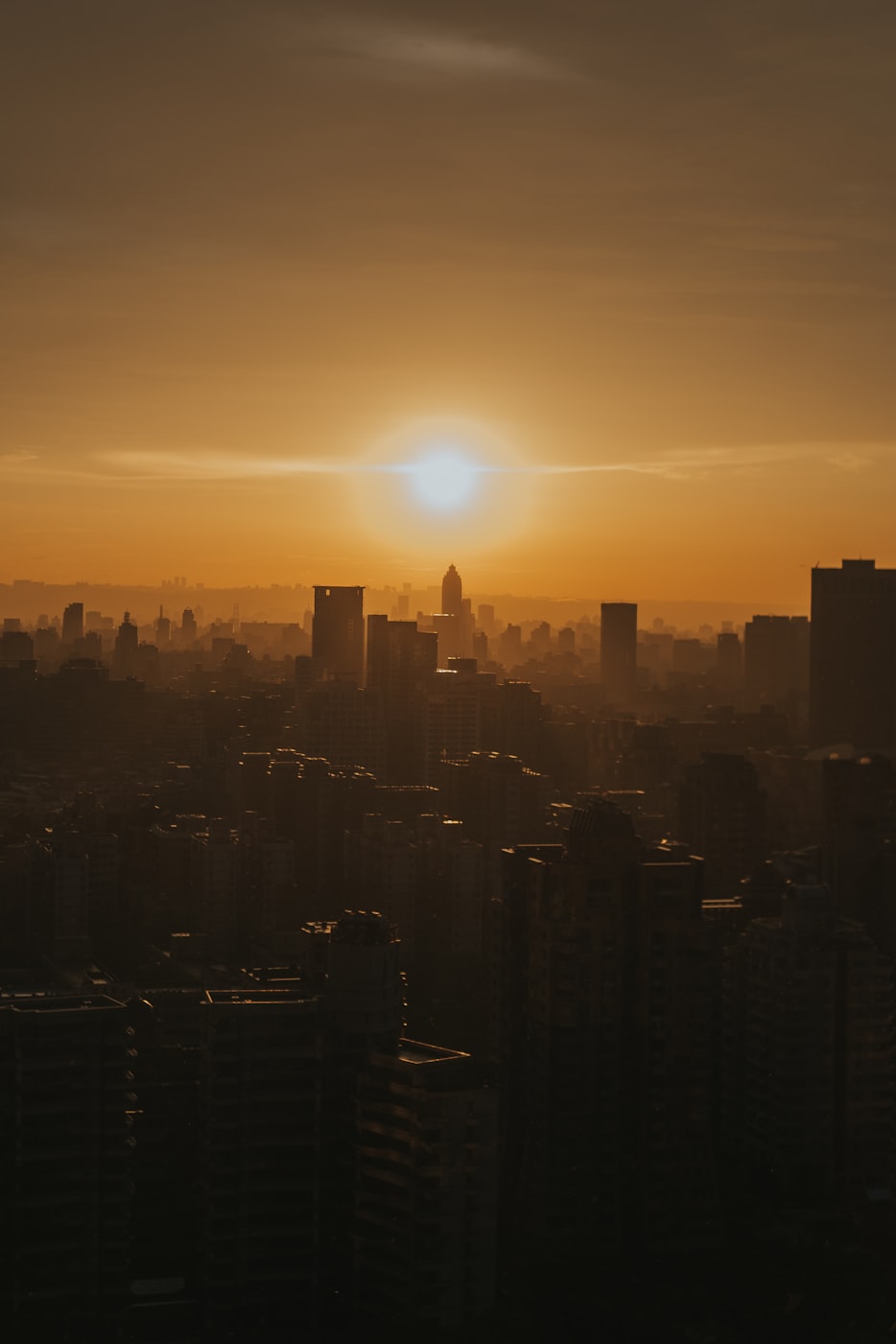 北京台体育直播，城市激情与体育精神的交融之地