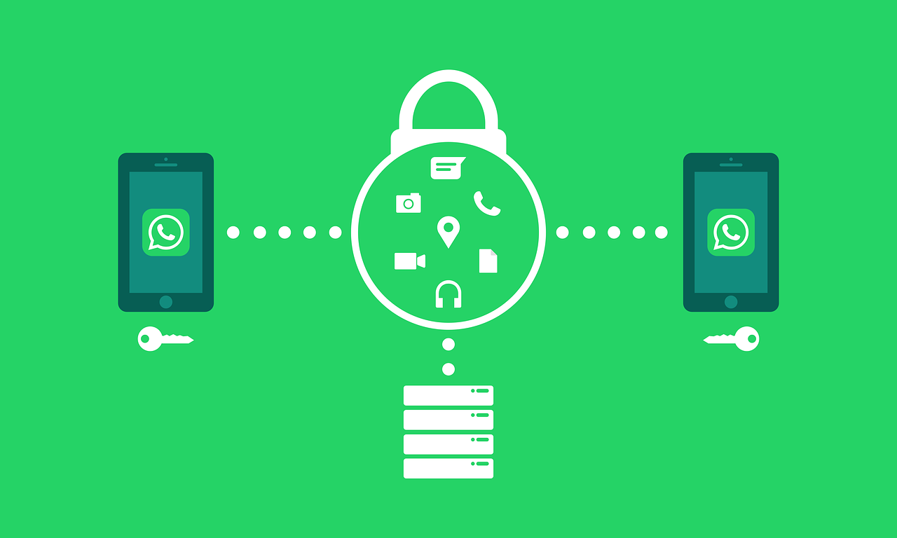 官方推荐,摇钱树APP下载入口全攻略 安全使用指南 官方推荐,摇钱树APP下载入口全攻略 安全使用指南