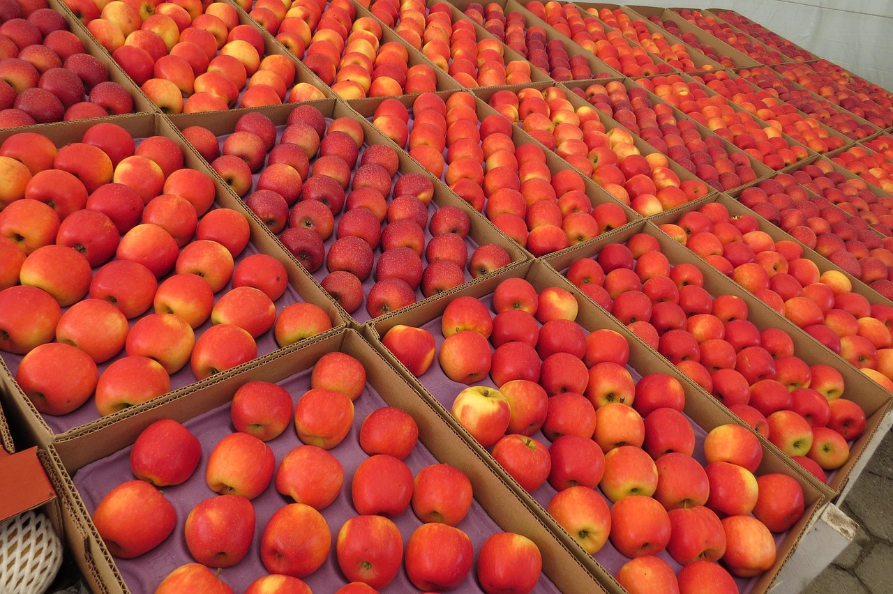 iOS版凤凰彩票,苹果用户智能购彩的全新体验 iOS版凤凰彩票,苹果用户智能购彩的全新体验