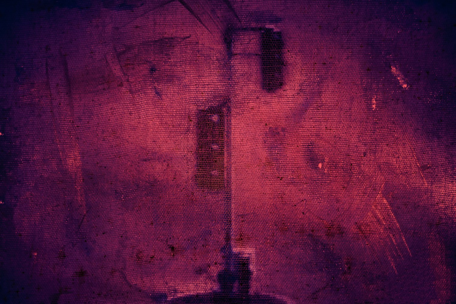 神秘古怪猴官网下载全攻略，探索未知领域的终极指南！