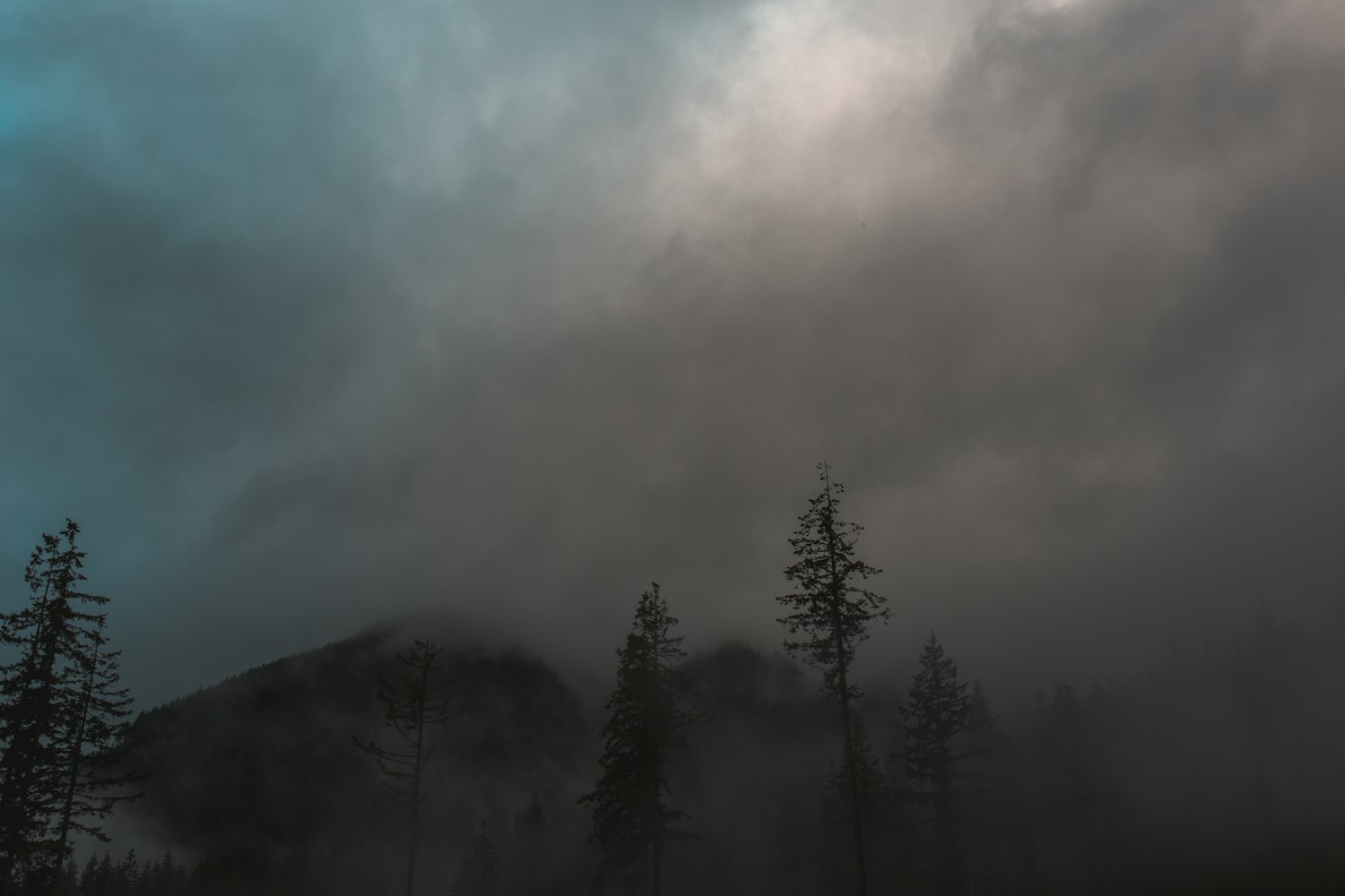 风之彩官网平台,气象数据与色彩艺术的跨界创新 风之彩官网平台,气象数据与色彩艺术的跨界创新