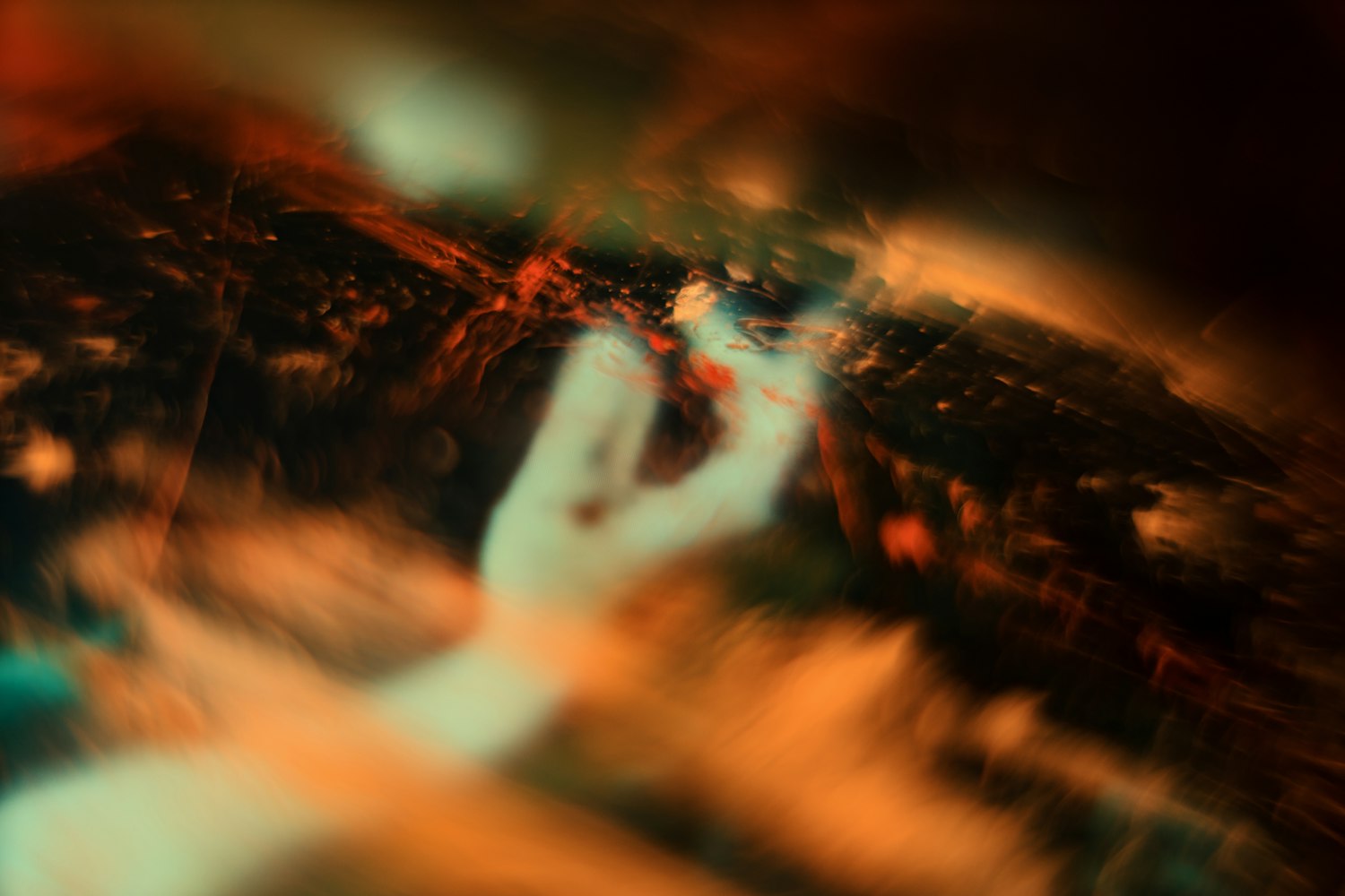 老狼网站的秘密,仙踪林中的数字与自然的交响 老狼网站的秘密,仙踪林中的数字与自然的交响