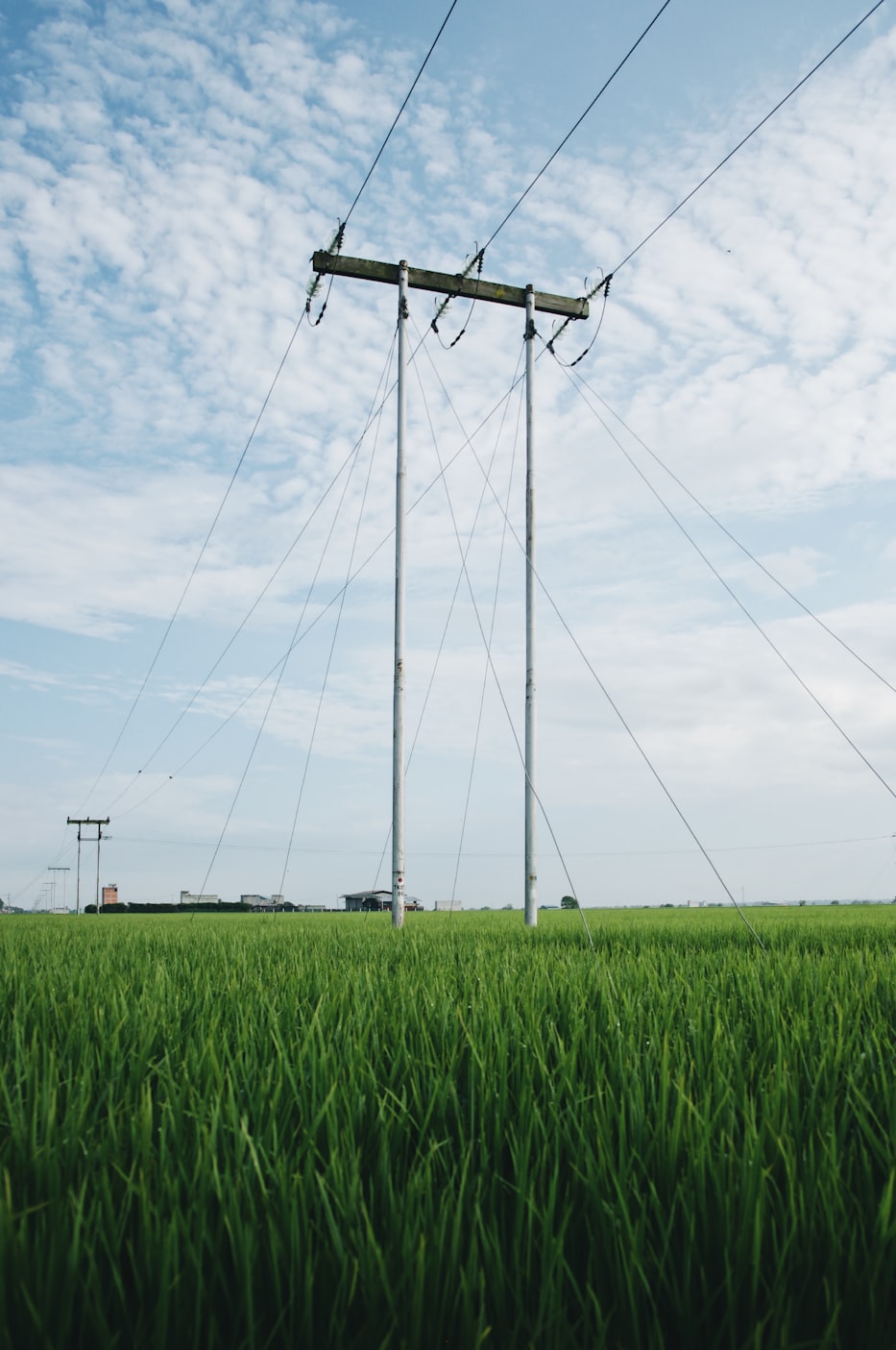 无插件绿色体育直播,体育与科技的环保未来 无插件绿色体育直播,体育与科技的环保未来