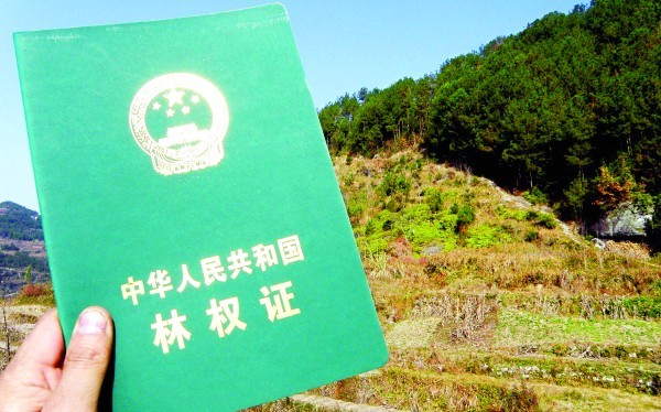 如何处理土地合同到期的问题？这些问题的处理如何保障双方权益？