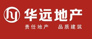 华什么金融？关于该金融形式的特点是什么？这种金融形式的风险如何评估？