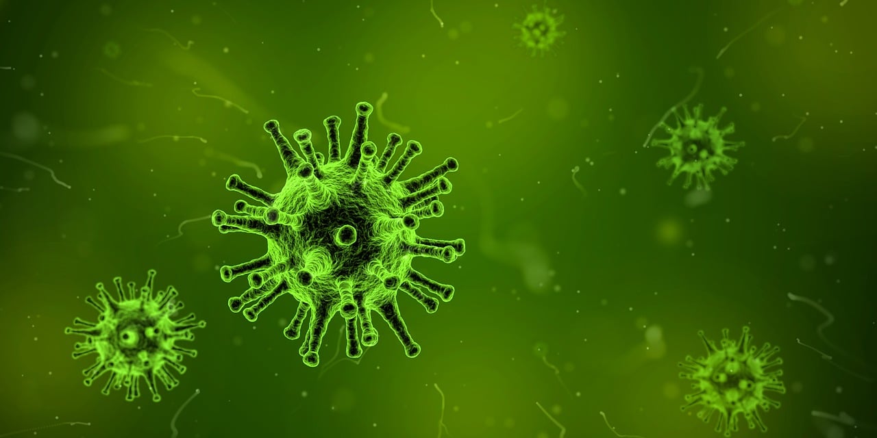 秋季流感疫苗，其效用与重要性秋季流感疫苗有用吗